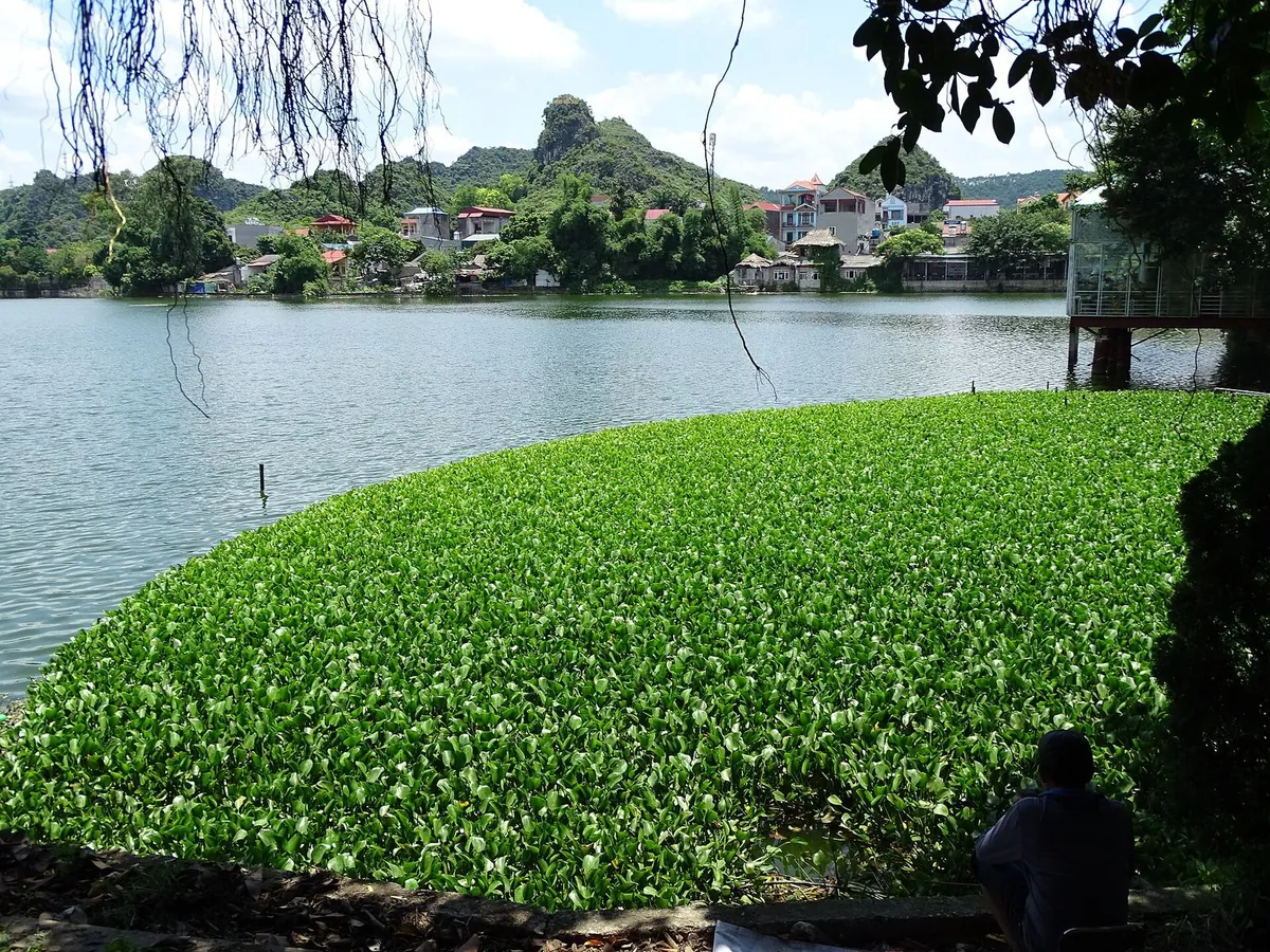Hình ảnh minh họa về Lạng Sơn
